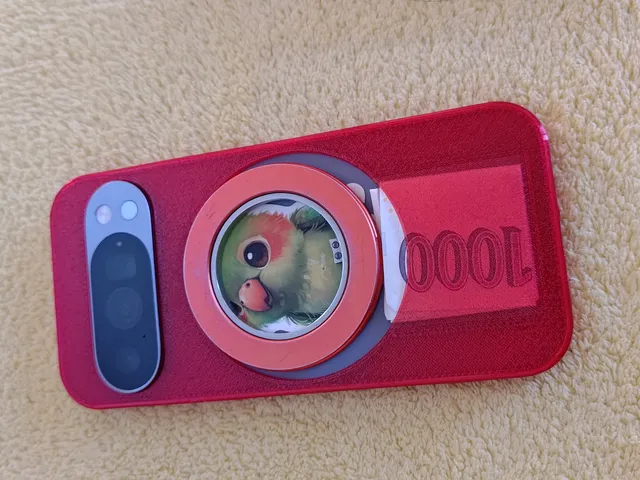 Pixel 10 Pro TPU case with money pocket