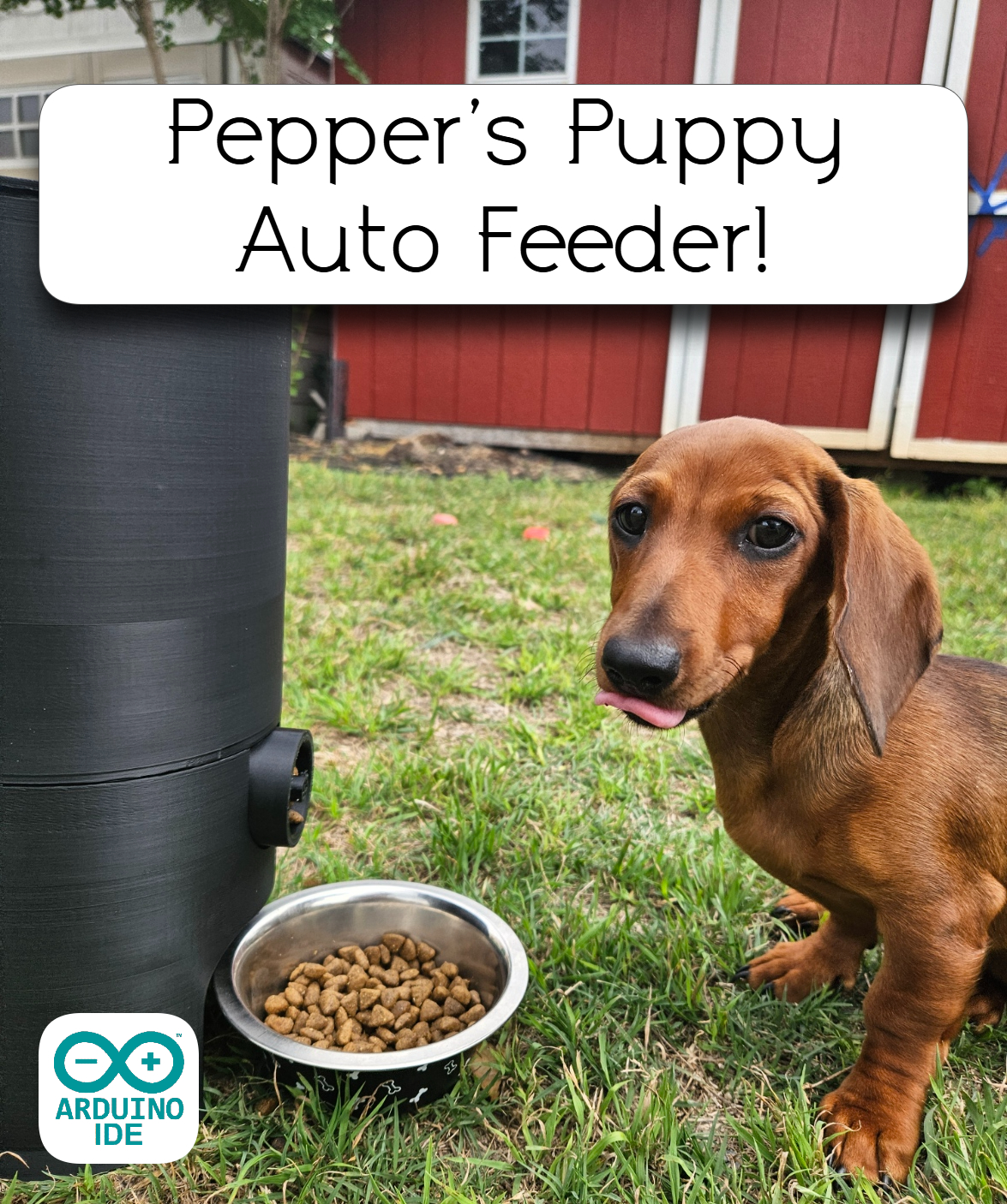 Pepper's Puppy Auto-Feeder