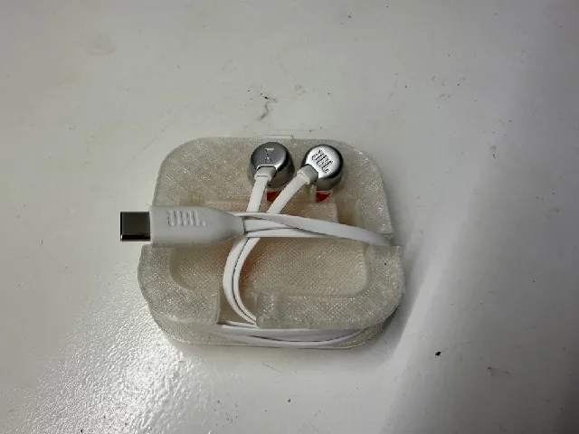 JBL TUNE310C earphones box
