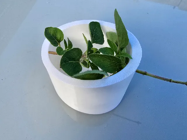 Herb pot to remove the herbs from the branch