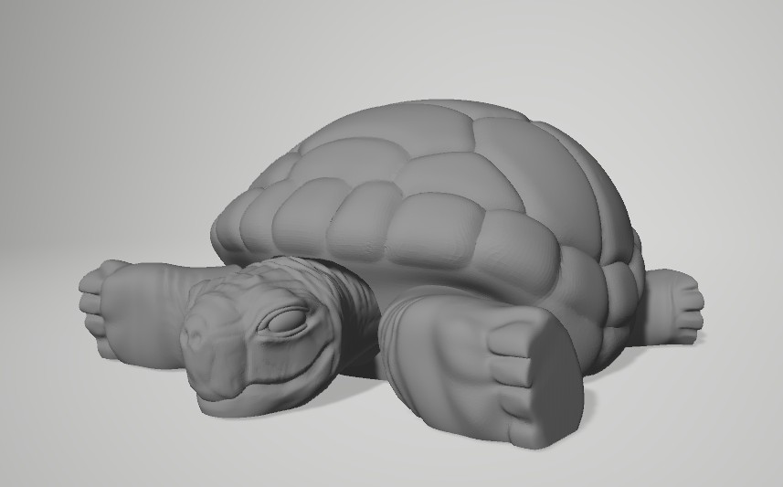 Articulated Tortoise