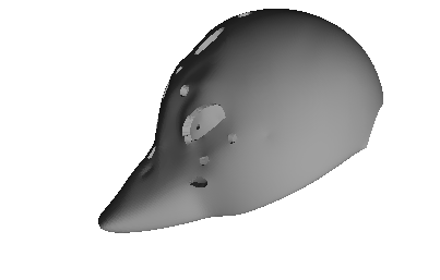 Duck Headbase (V1) — miniatura 2