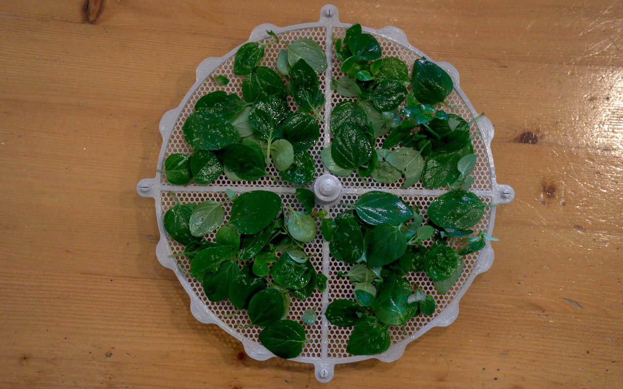 Herb / Seeds Drying Rack — miniatura 7