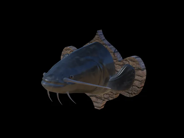 Wels Catfish Head Trophy
