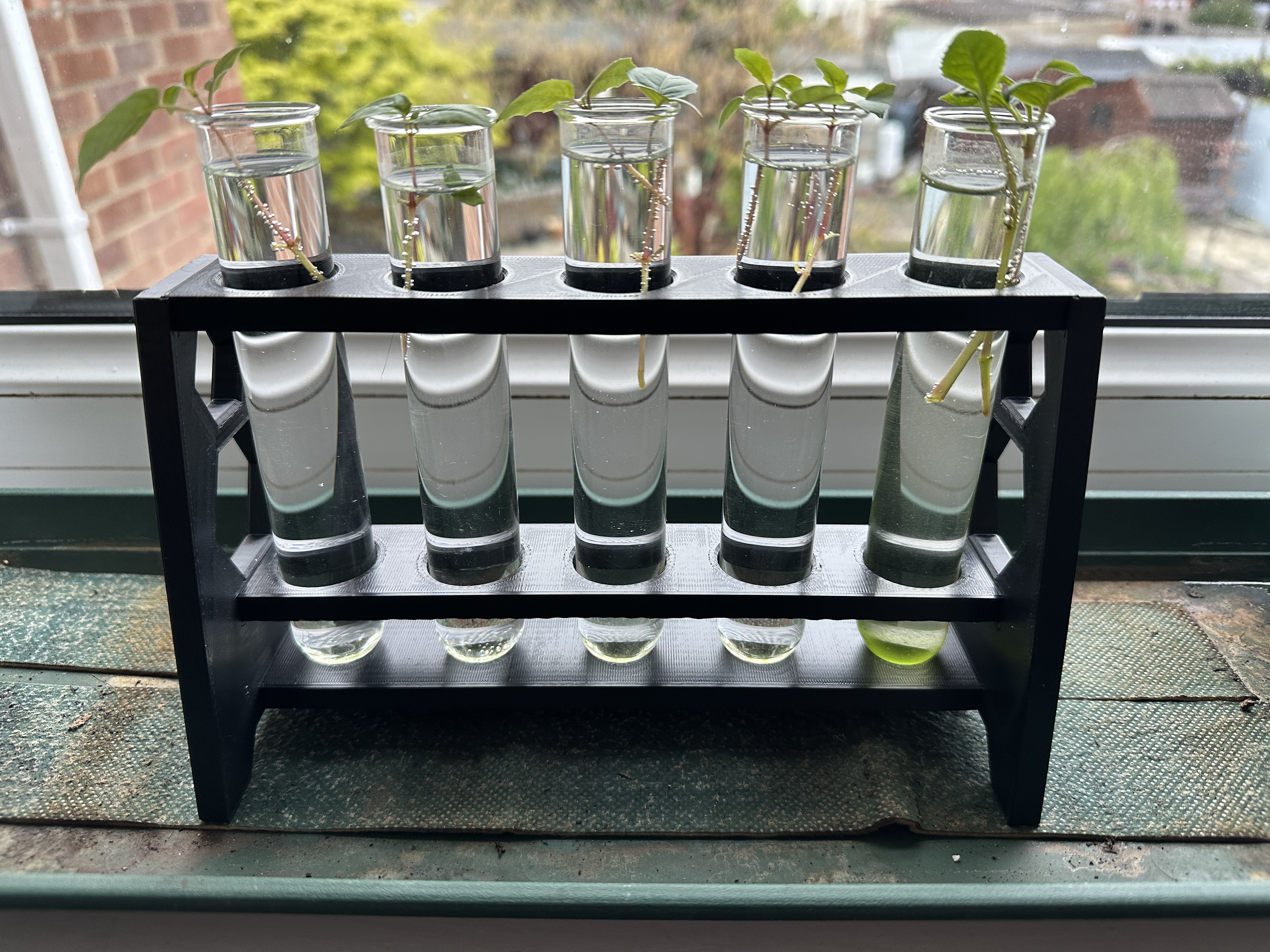 Jumbo Test Tube Holder