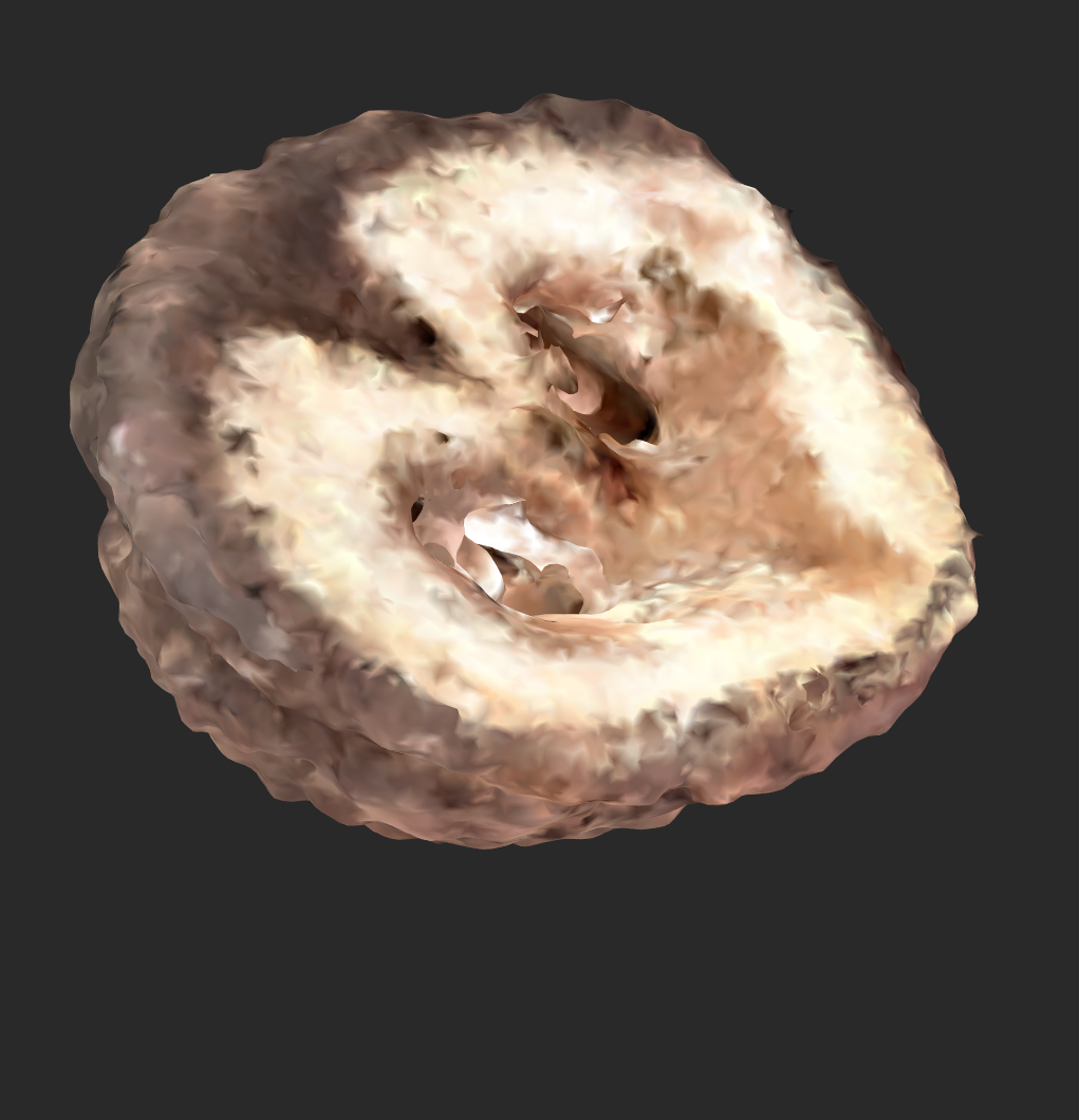 Walnut 3D Scan — thumbnail 2