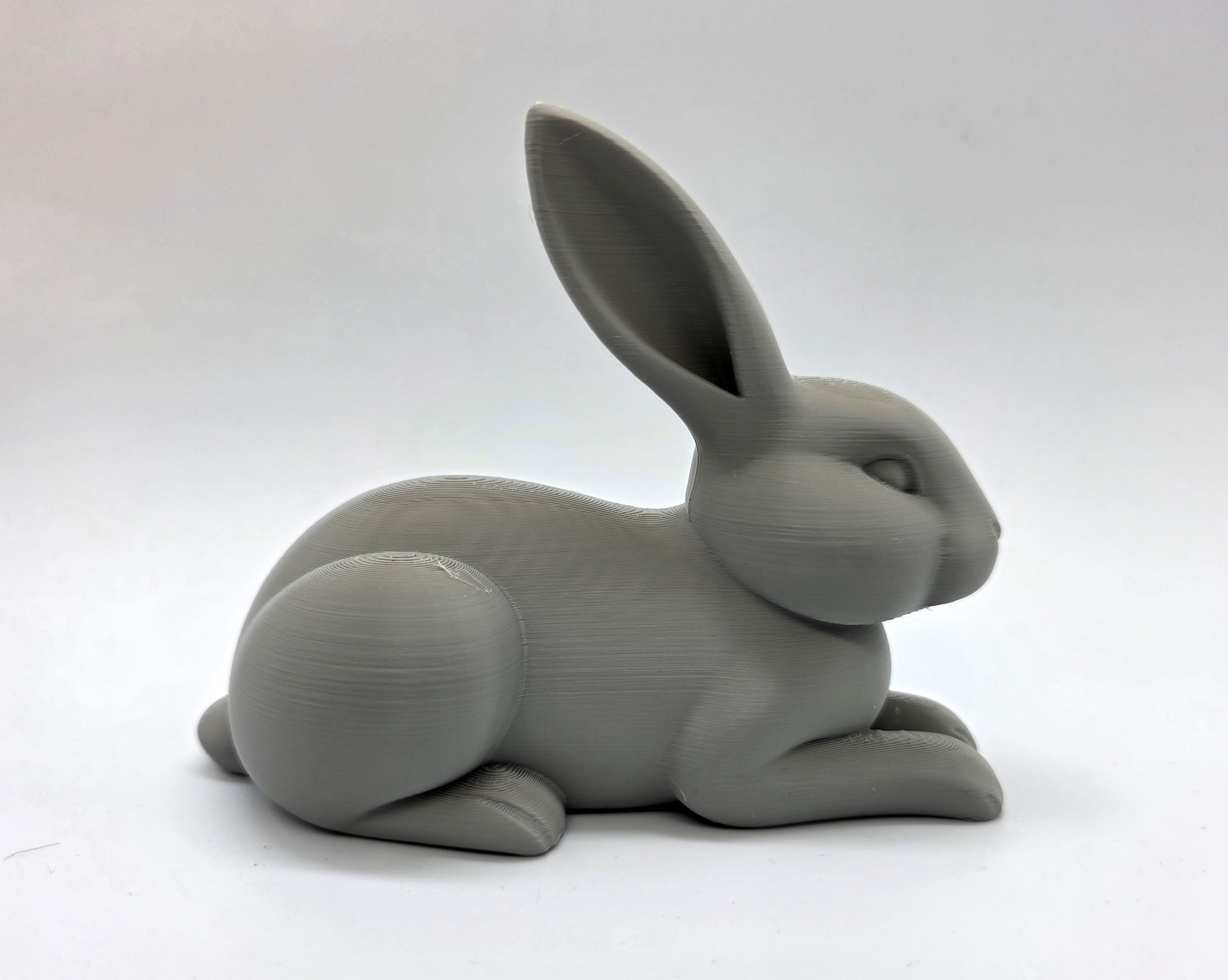 Lay-Down Rabbit — miniatura 3