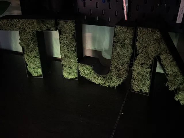 Letter M