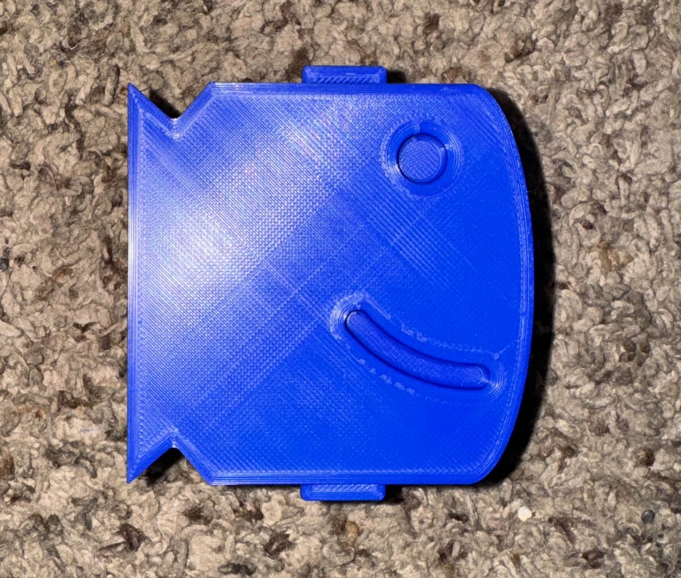 Fish Container