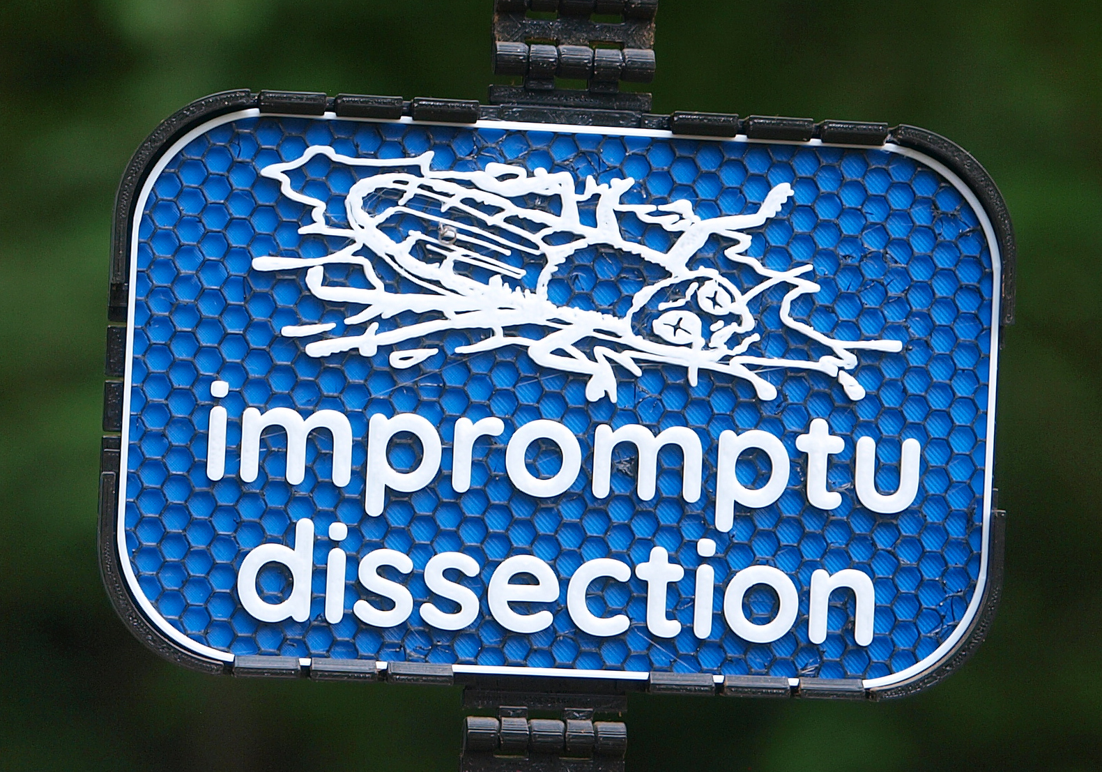 Impromptu Dissection sign