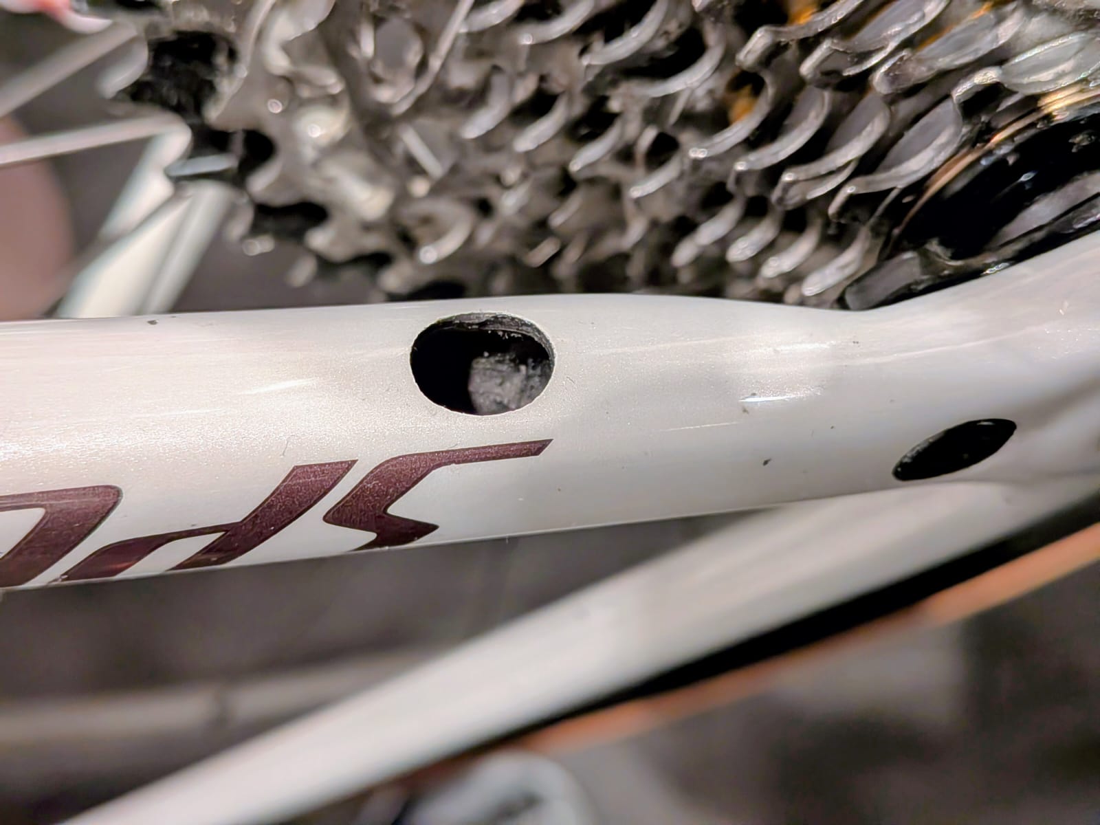 Chainstay frame plug for my Specialized Tarmac SL8 Pro 2026