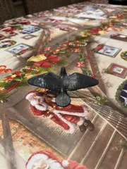 pigeon