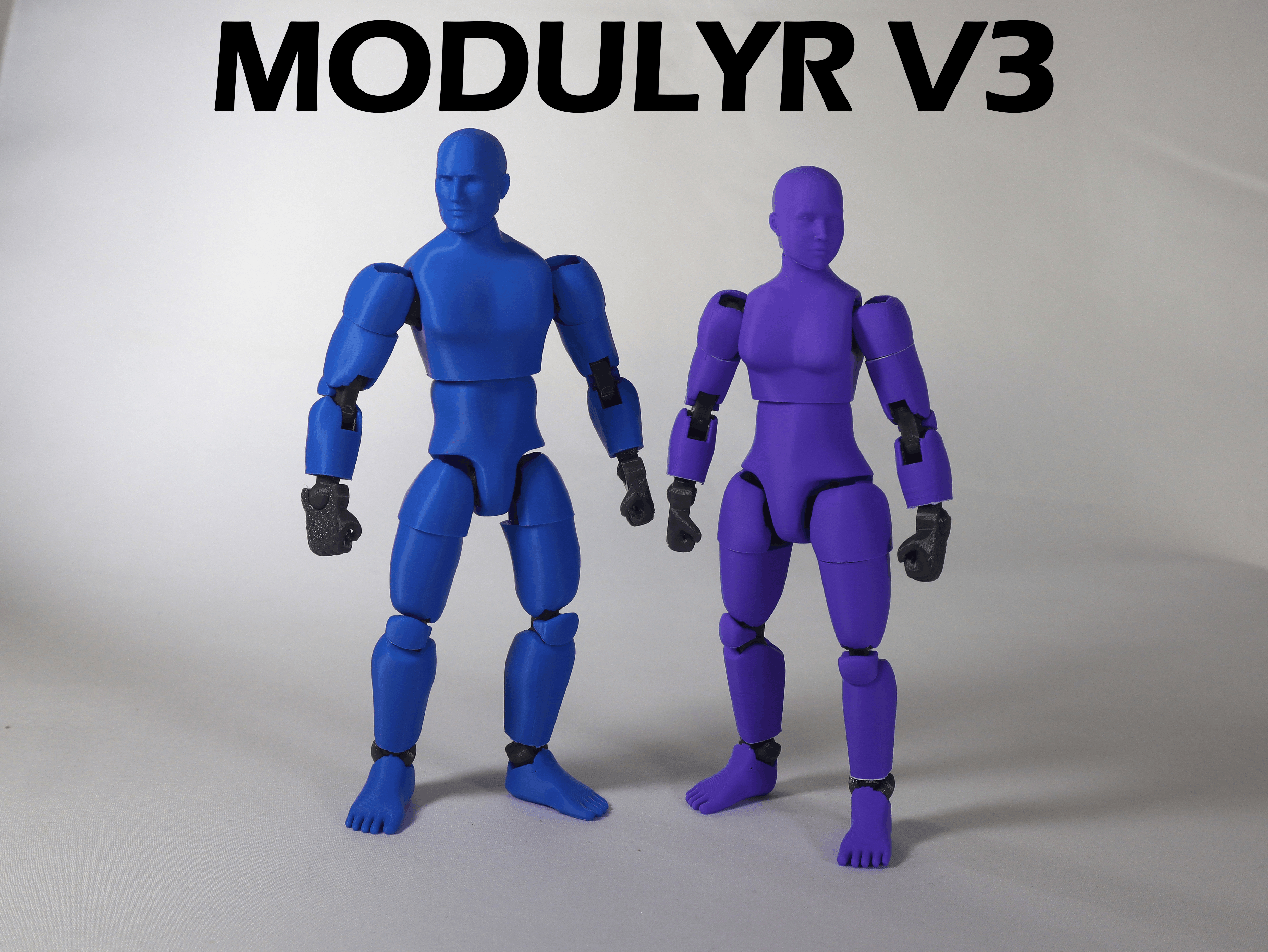MODULYR V3 - Realistic Action Figure