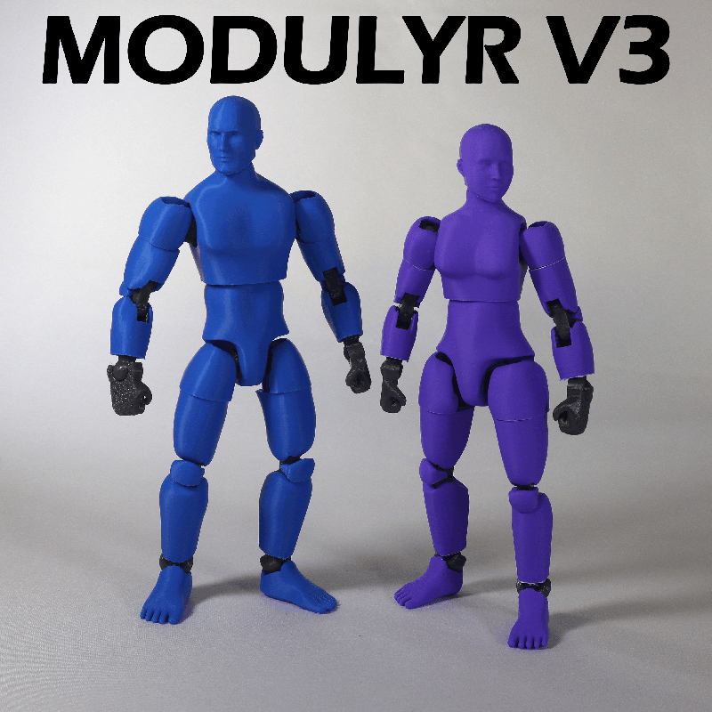 MODULYR V3 - Realistic Action Figure by Direct Designs | Download free ...