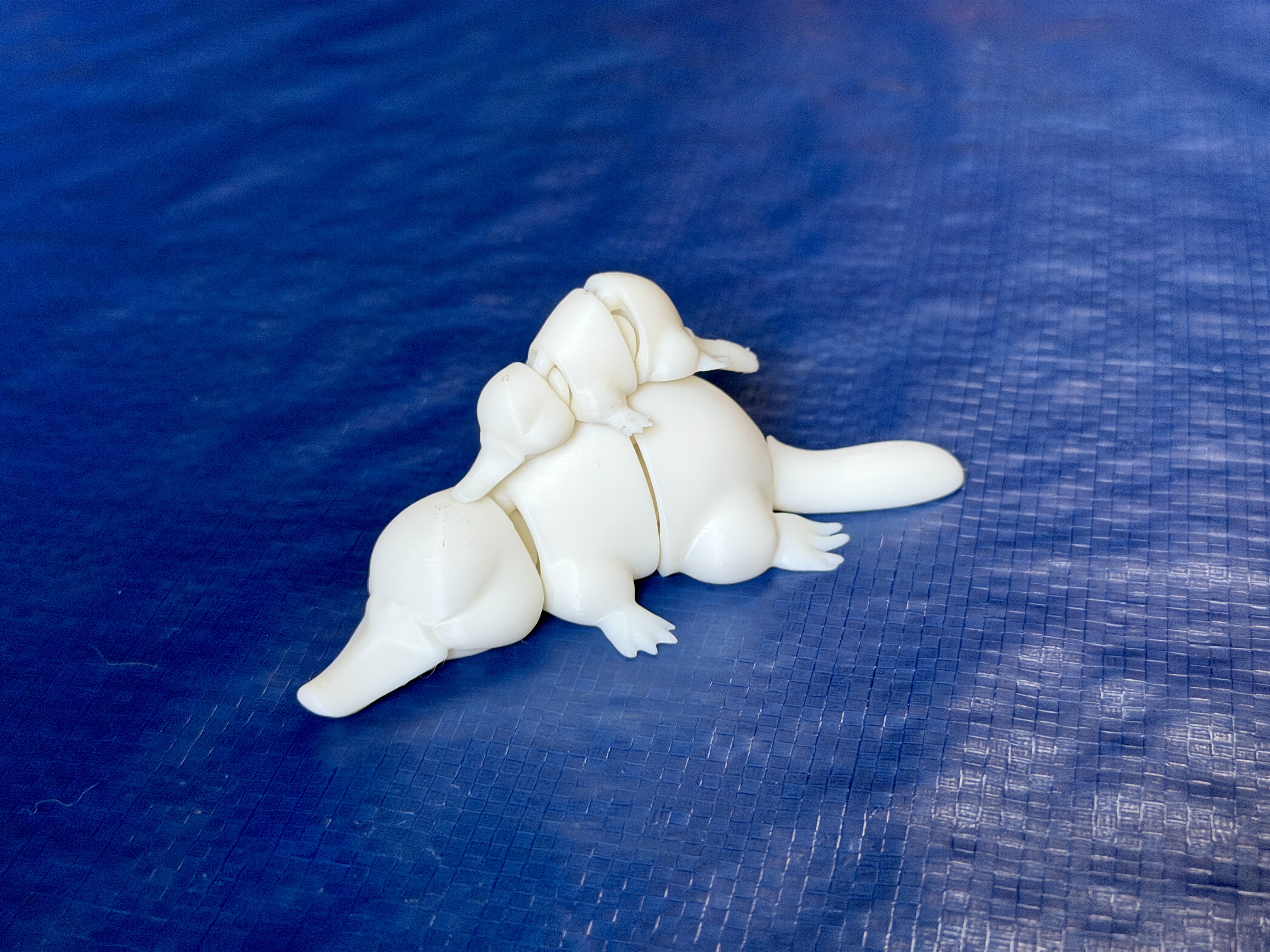 Articulating Platypus and Platypus keychains