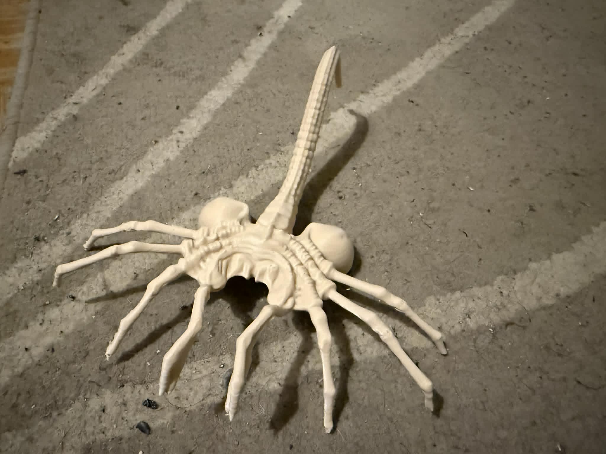 Miniatura 3 do modelo 3D Alien Facehugger