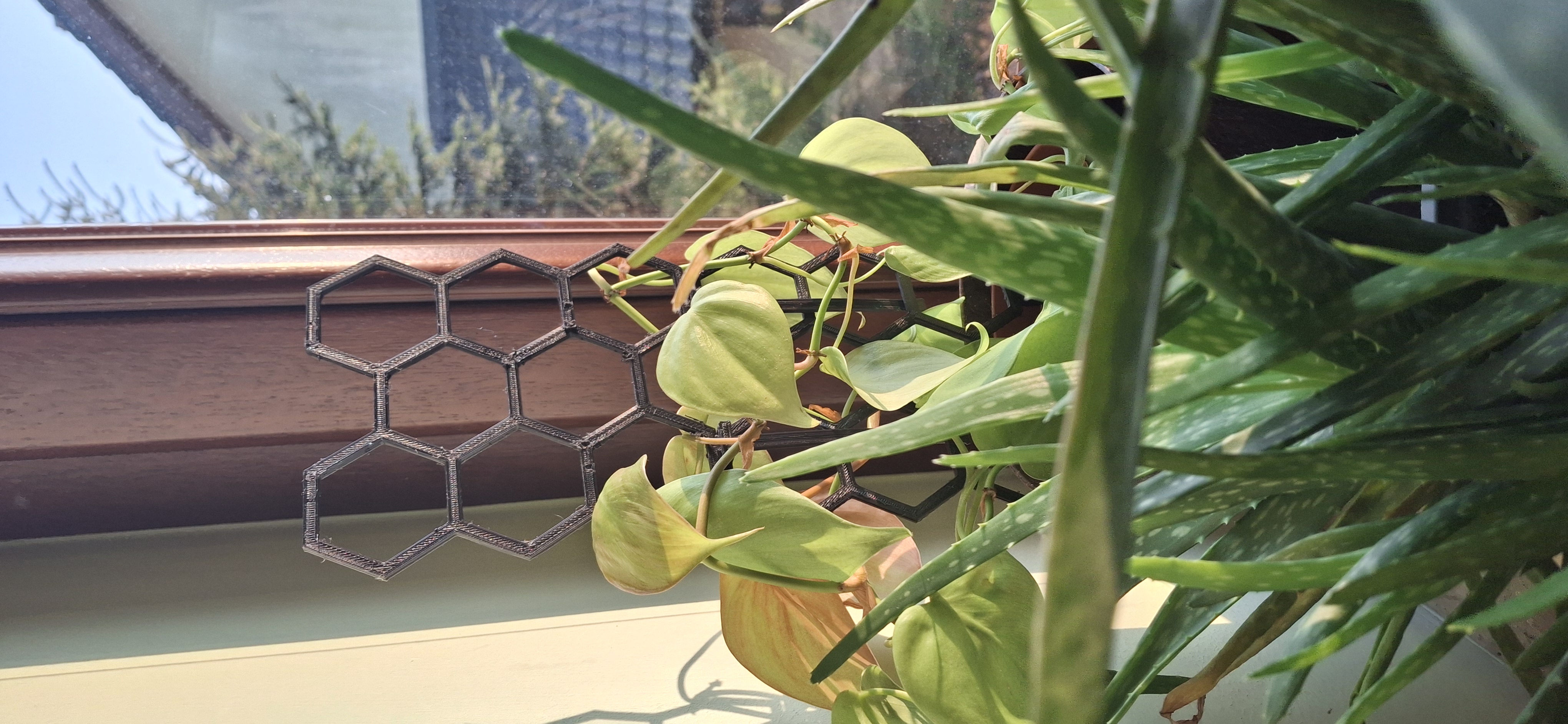 Honeycomb Plant  support — thumbnail 6