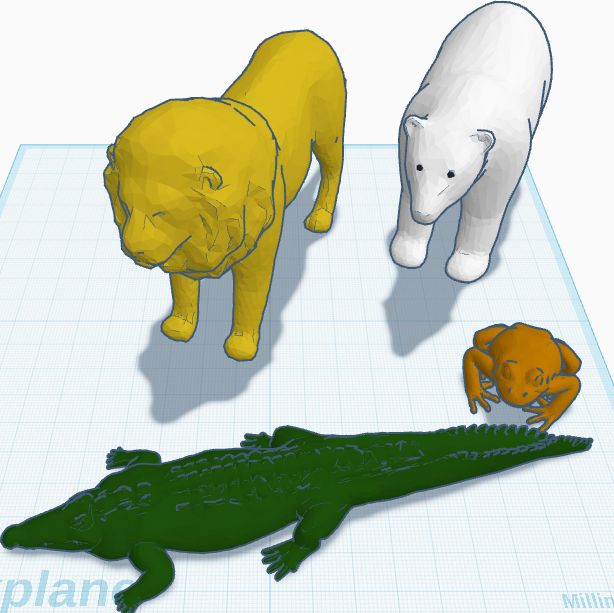 assortment of animals
