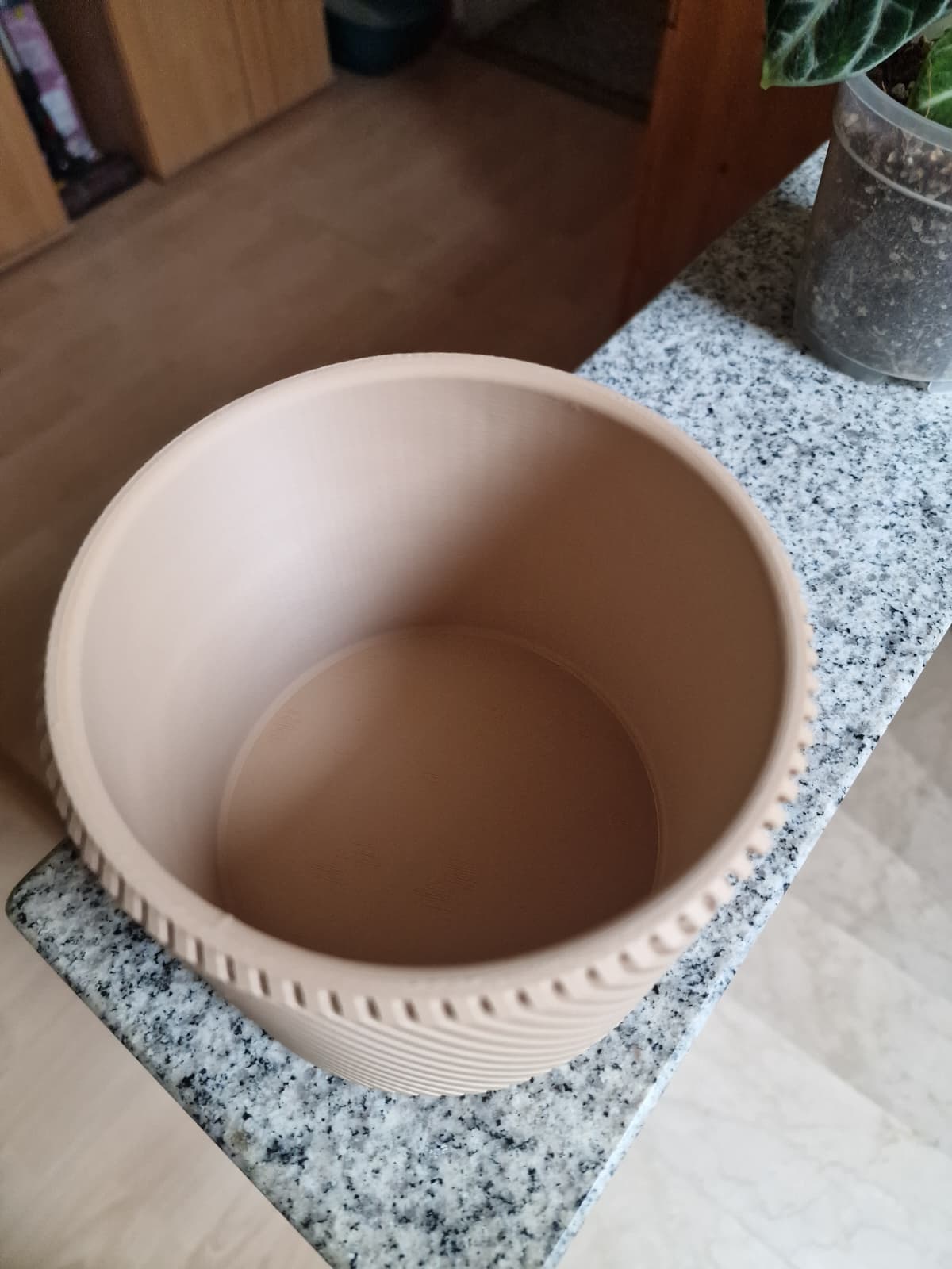 Spiral Planter