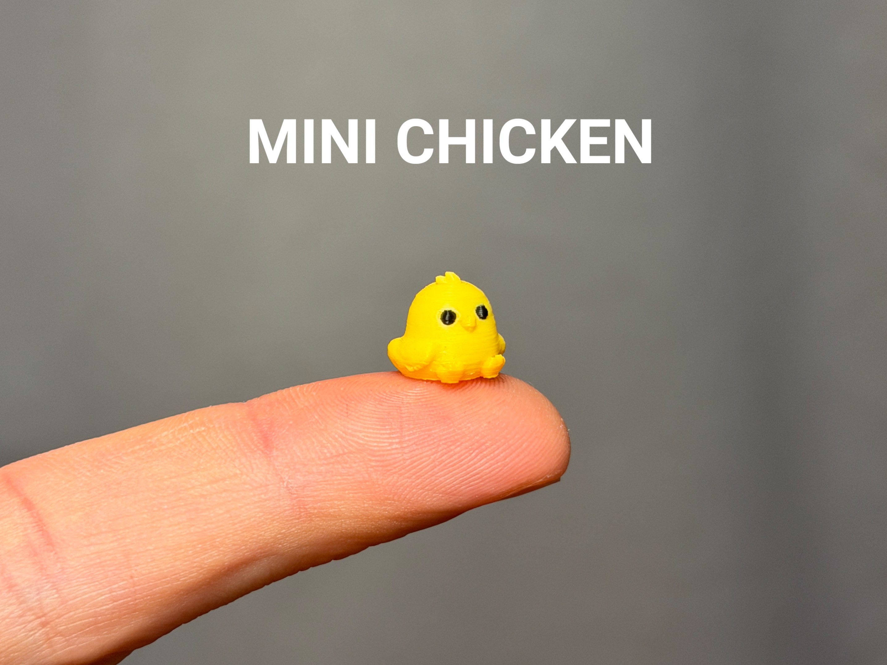 Mini Chicken