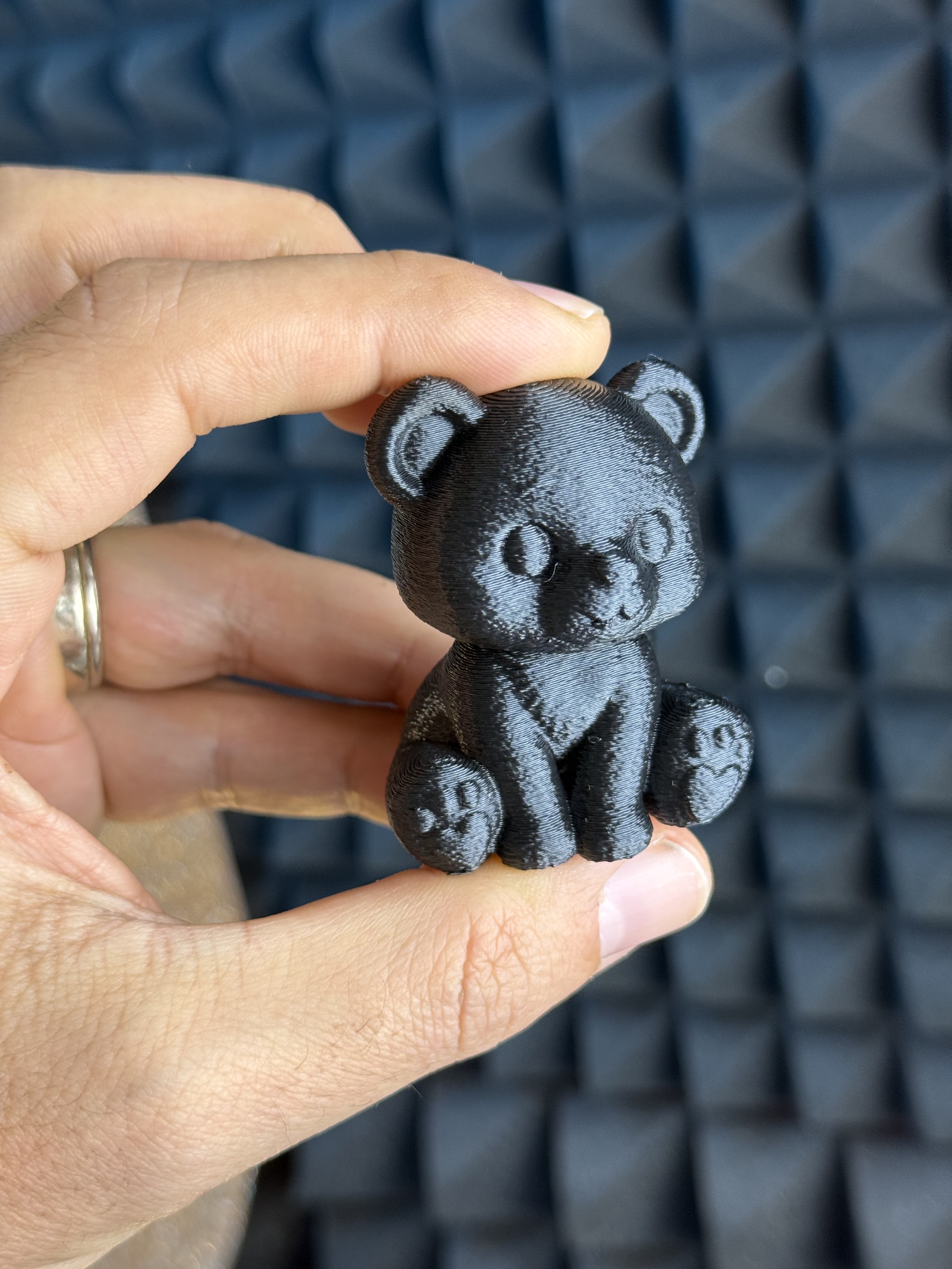 Cute Bear