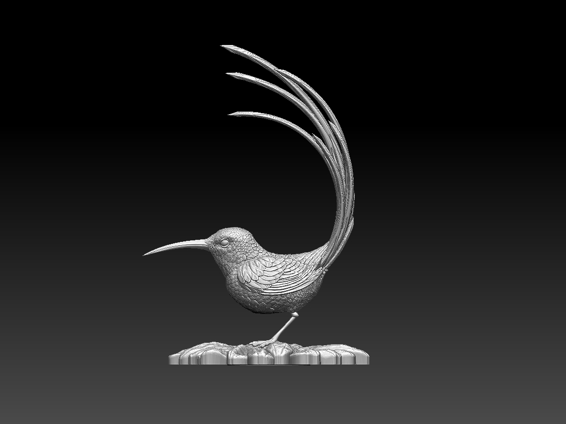 hummingbird