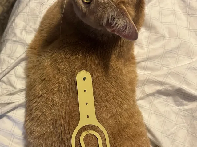 Cat Door Holder