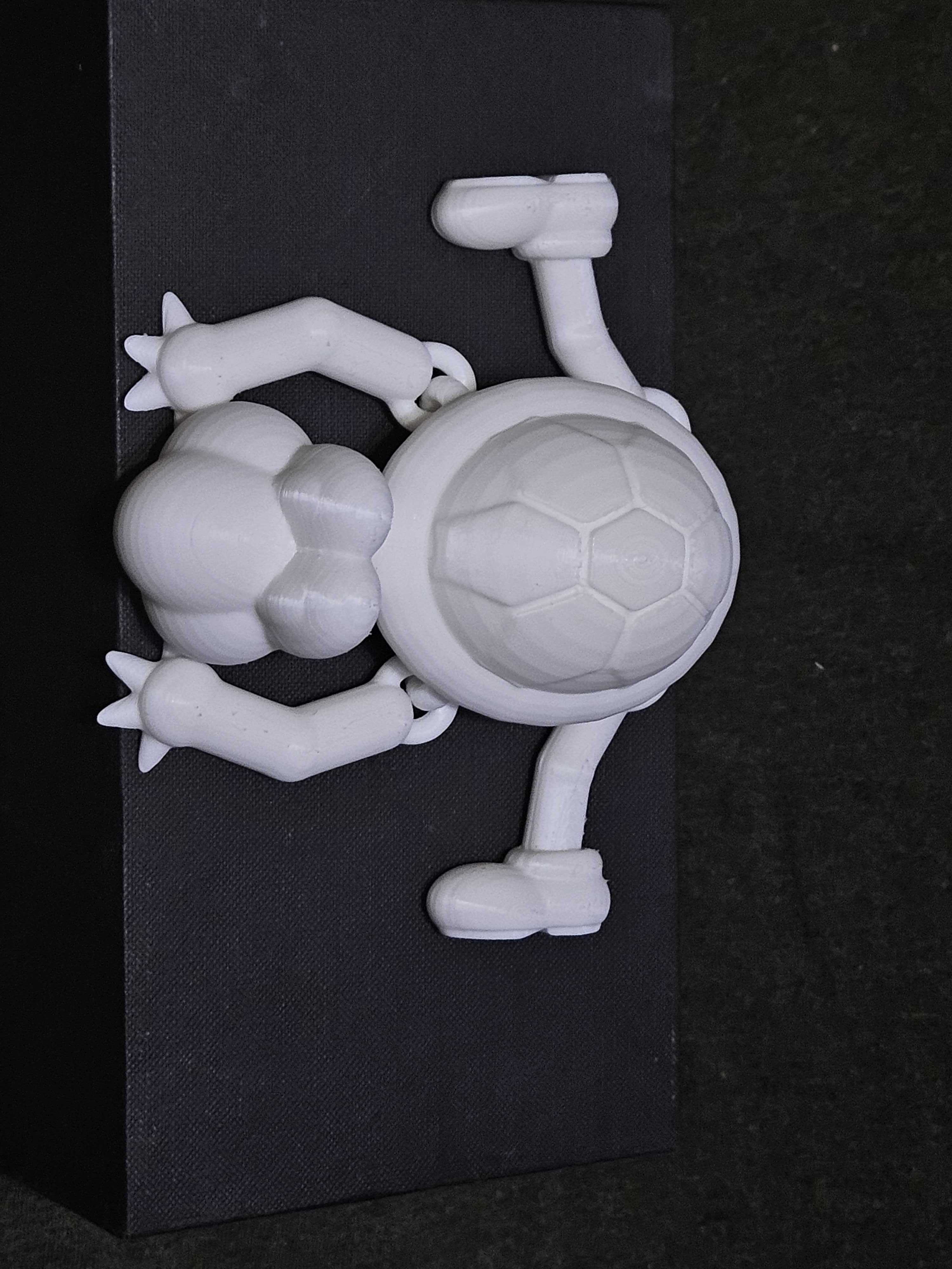 Miniatura 3 do modelo 3D Articulated Turtle