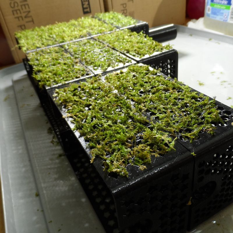 Modular Shrimp Hide/Moss Wall/Plant Holder Combo by MotherBuzzard ...