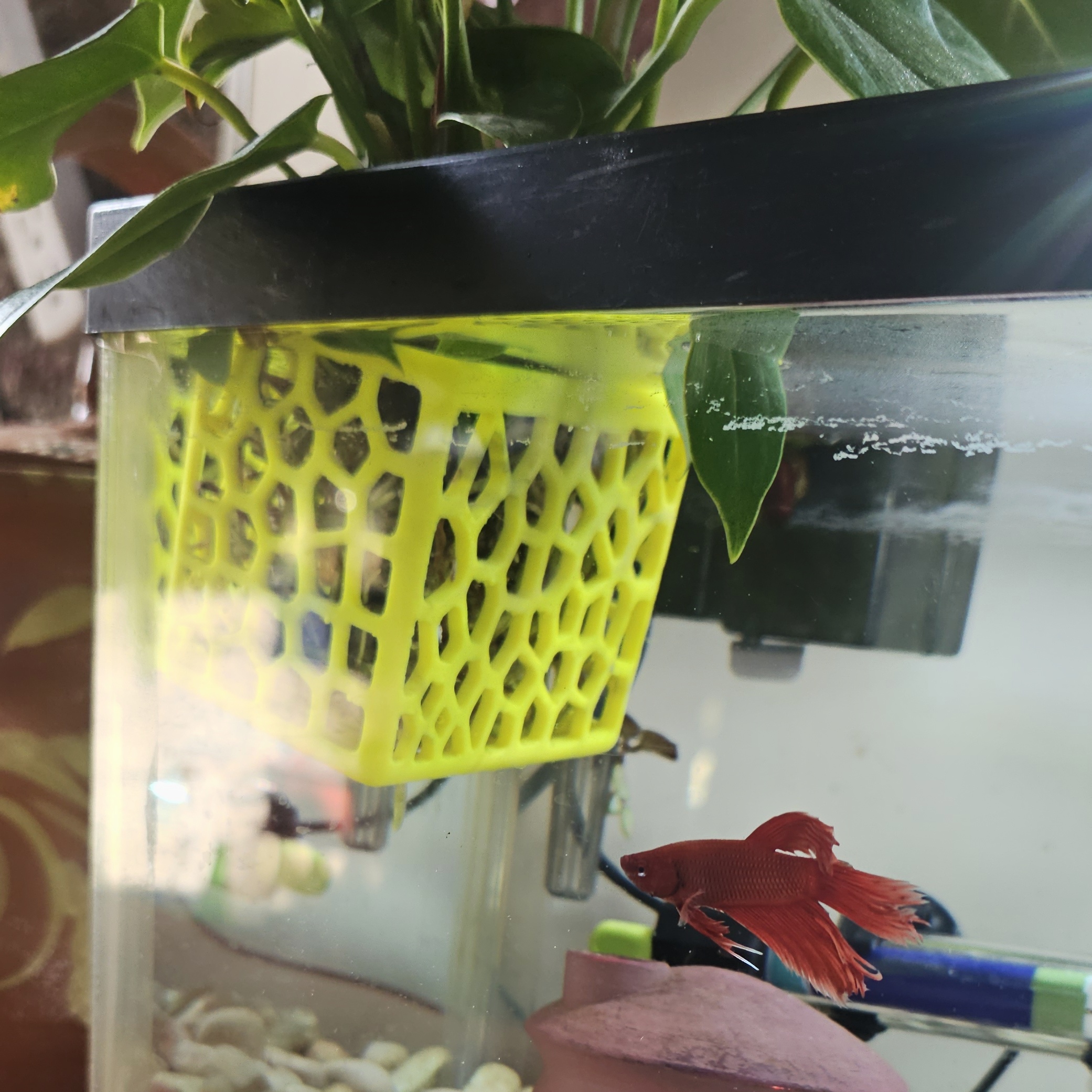 VORONOI PLANTER FISHTANK