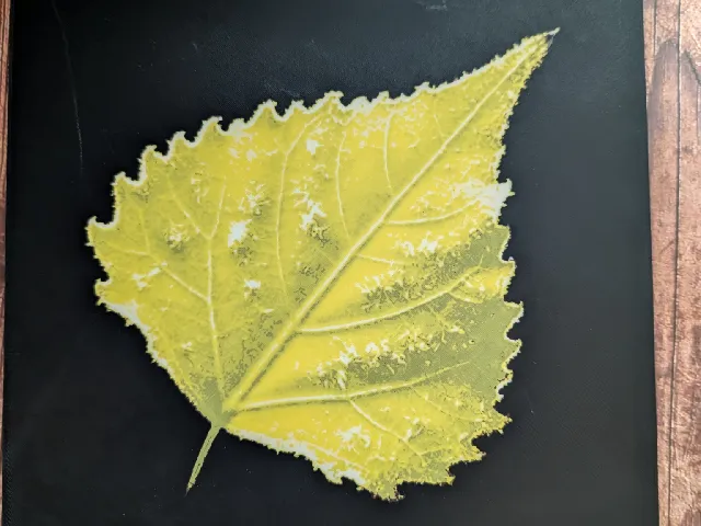 Fosted Poplar Leaf