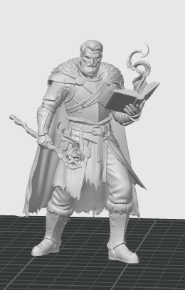 D&D Human Mage - Battlemage