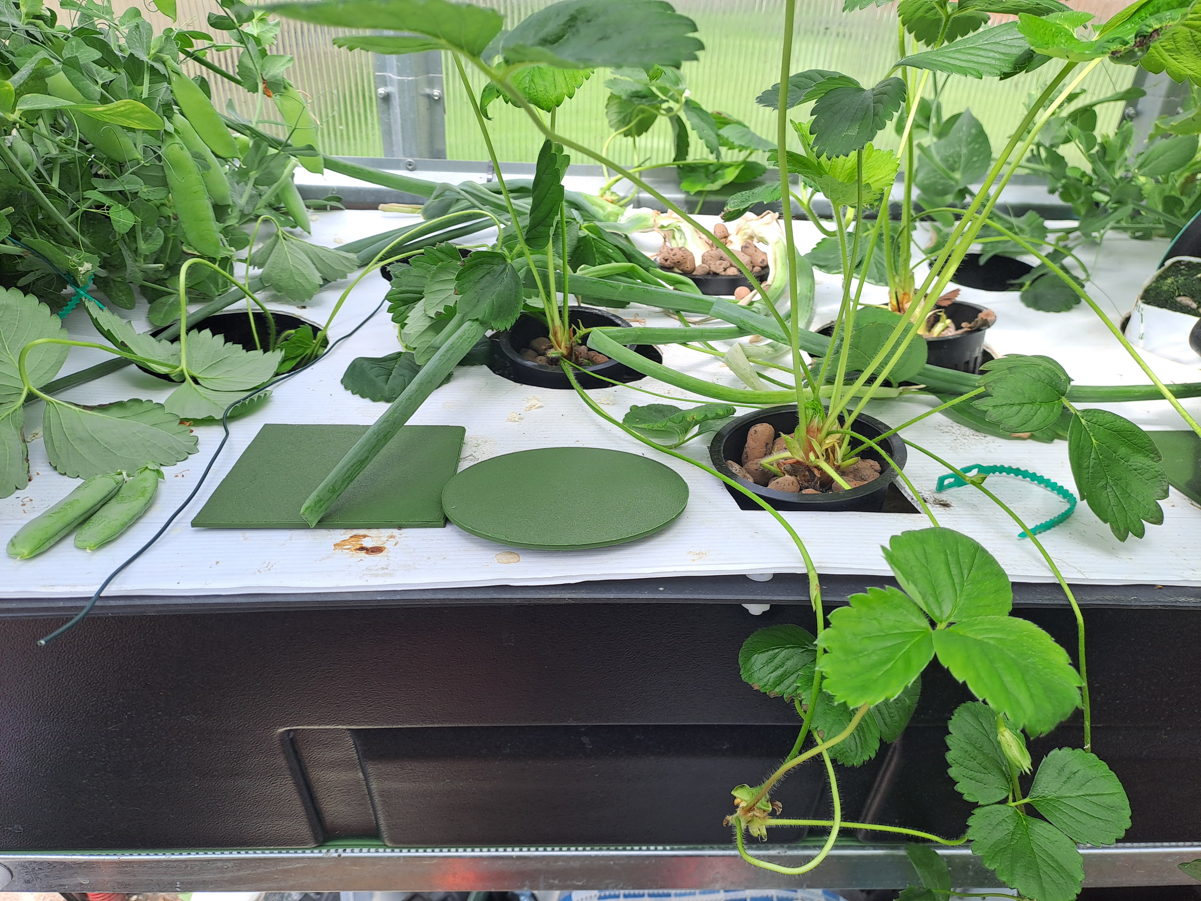 Cap for NFT hydroponic planting