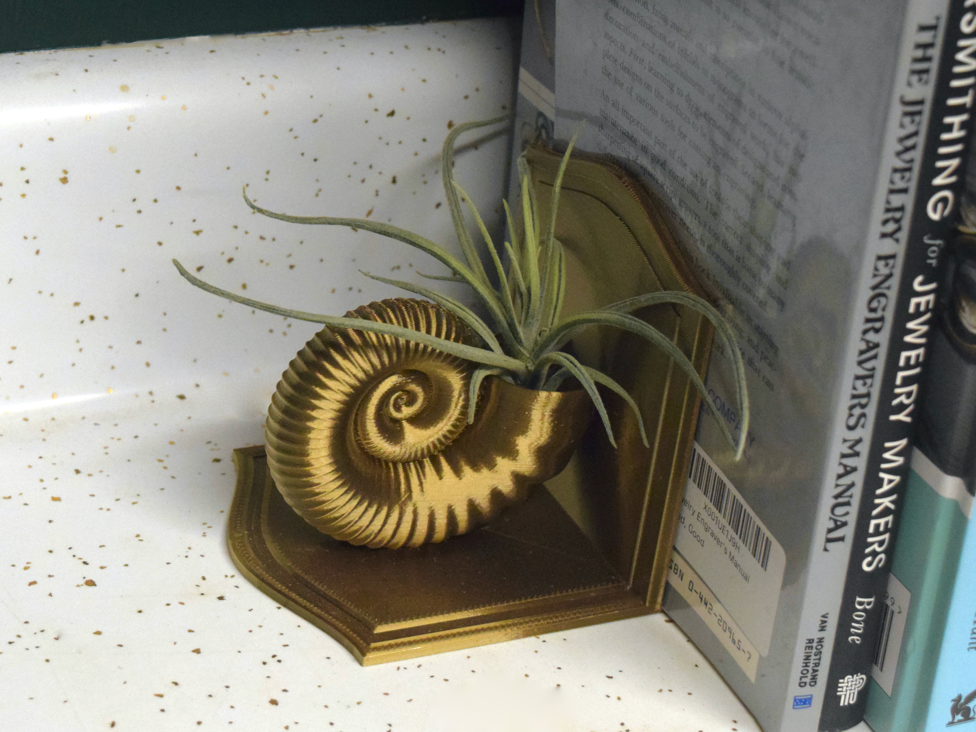 Ammonite Fossil Bookend & Planter