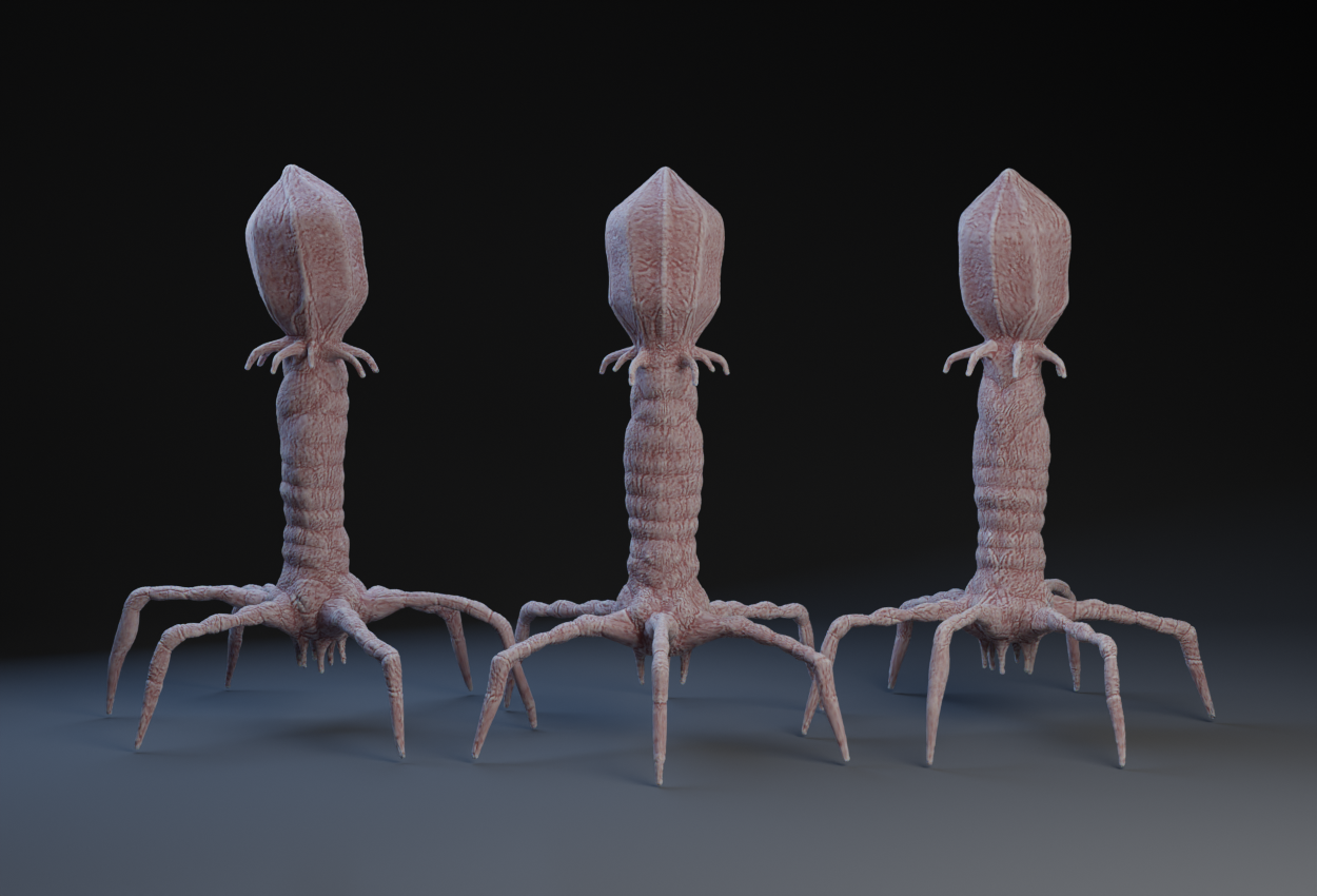 Bacteriophage-Virus