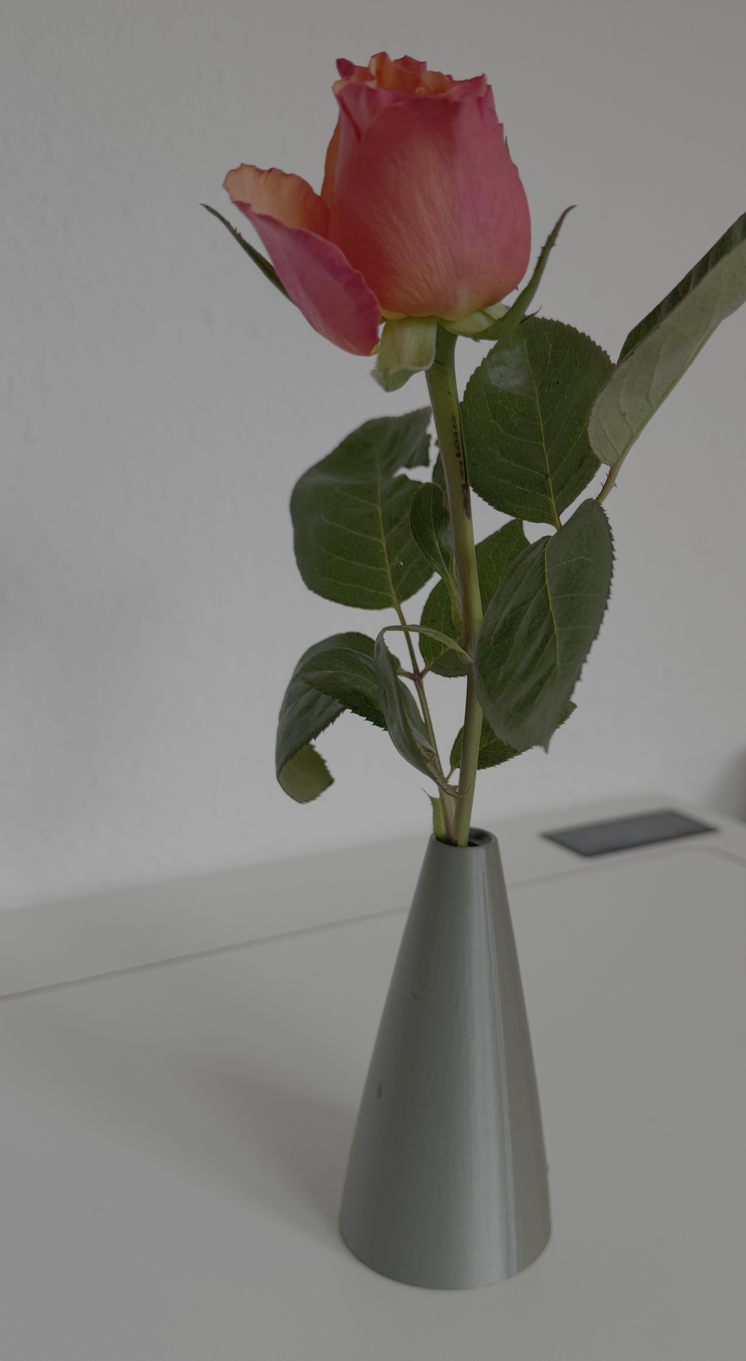 Blumenvase für Getränkehalter Tesla Model 3 - vase of flowers for cup holder