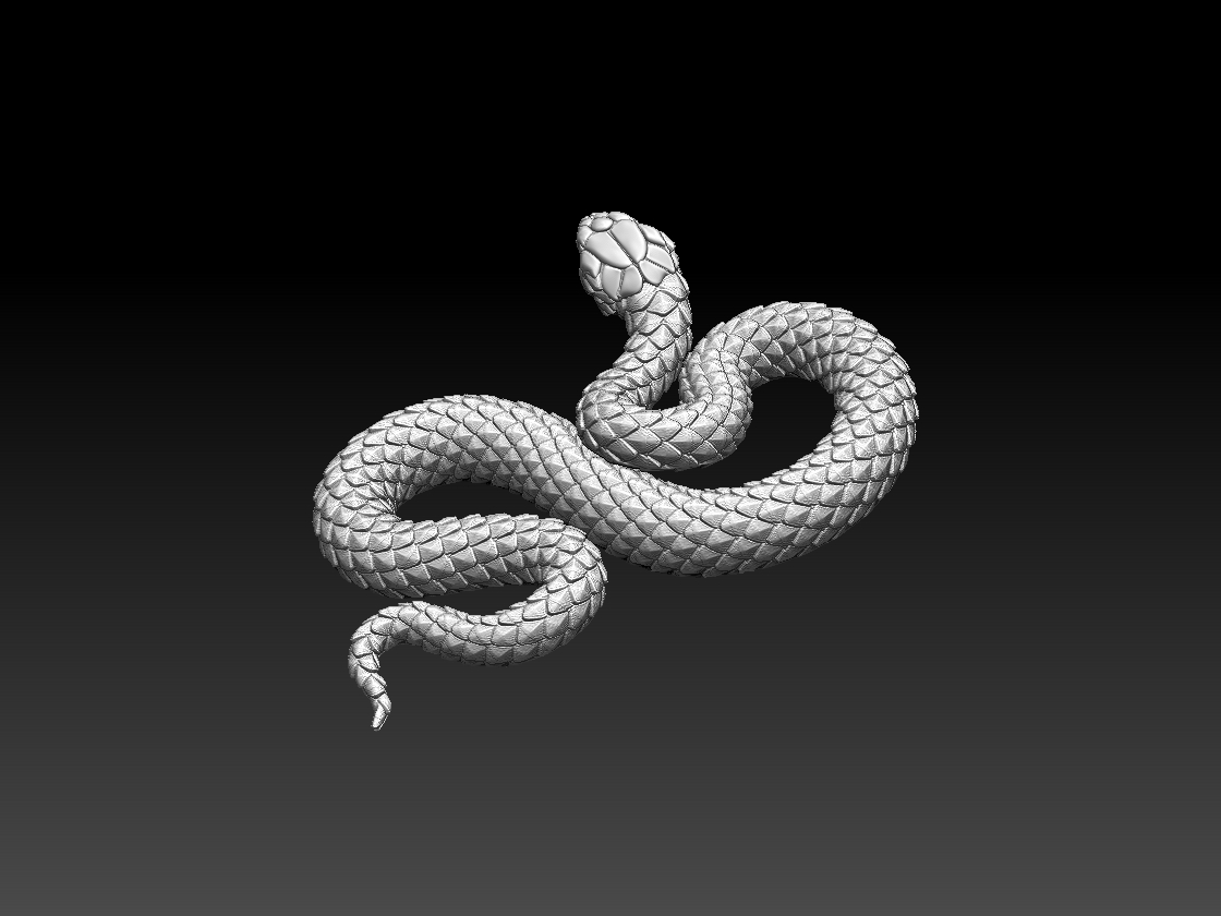 SNAKE — miniatura 4