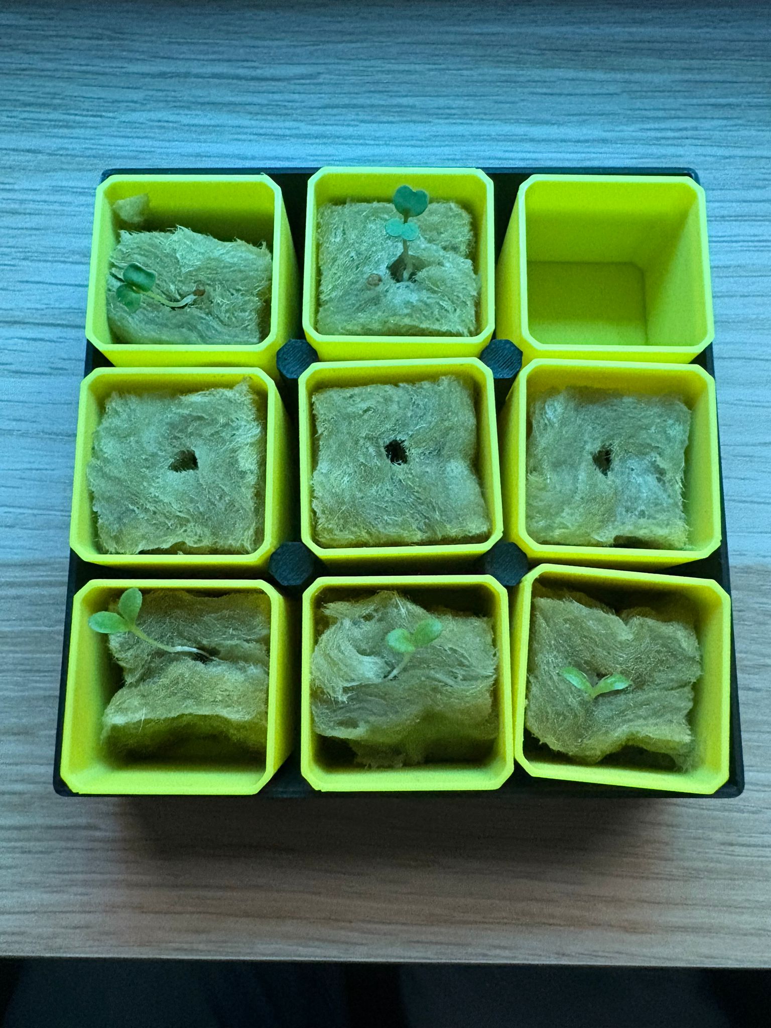 Miniatura 2 do modelo 3D Mini Seedling Starter – Fully Customizable