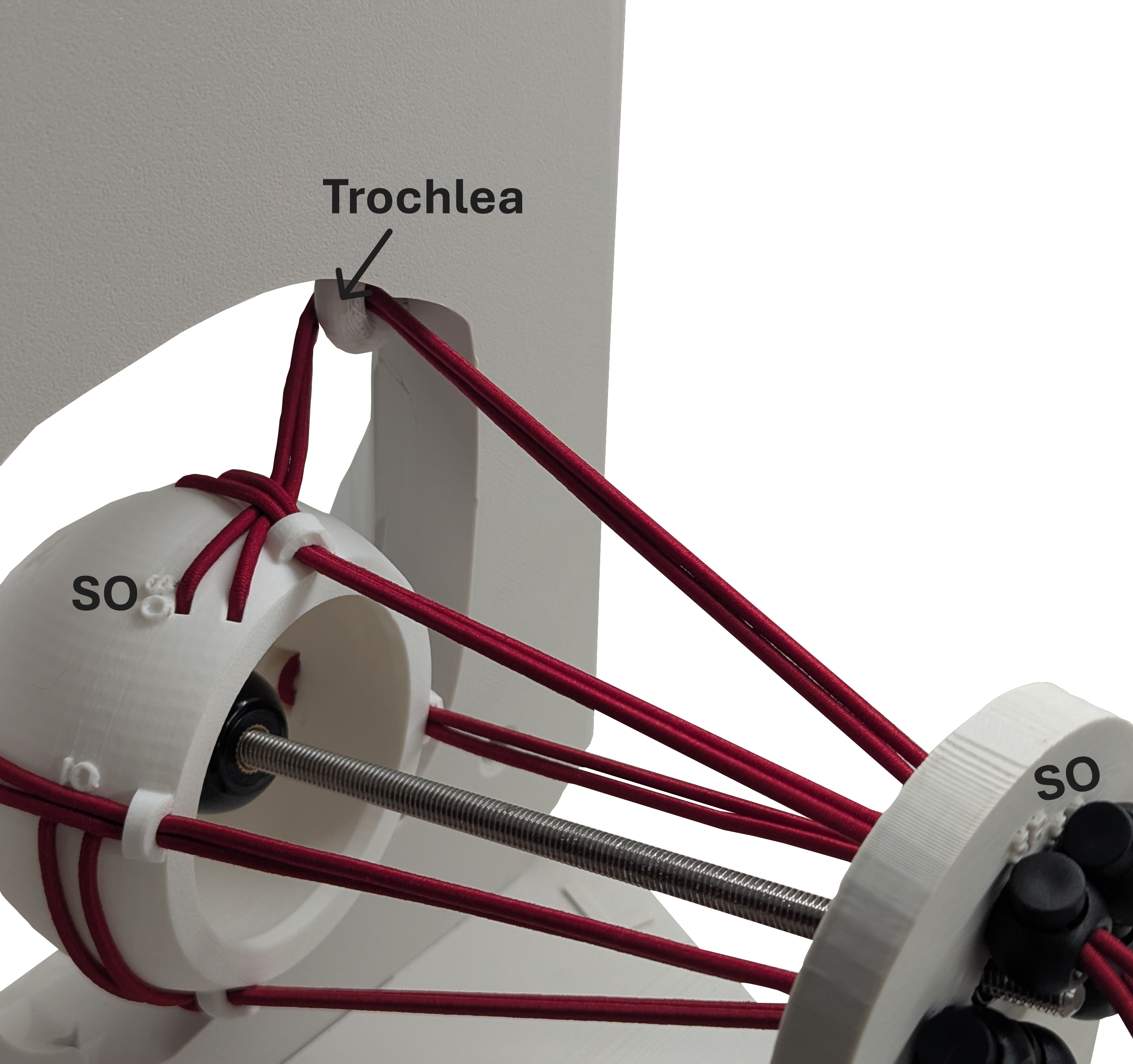 Dynamic Extraocular Muscle Simulator — thumbnail 5