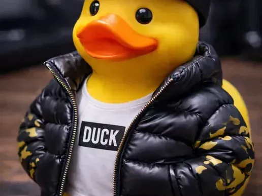 Puffy Jacket Duck
