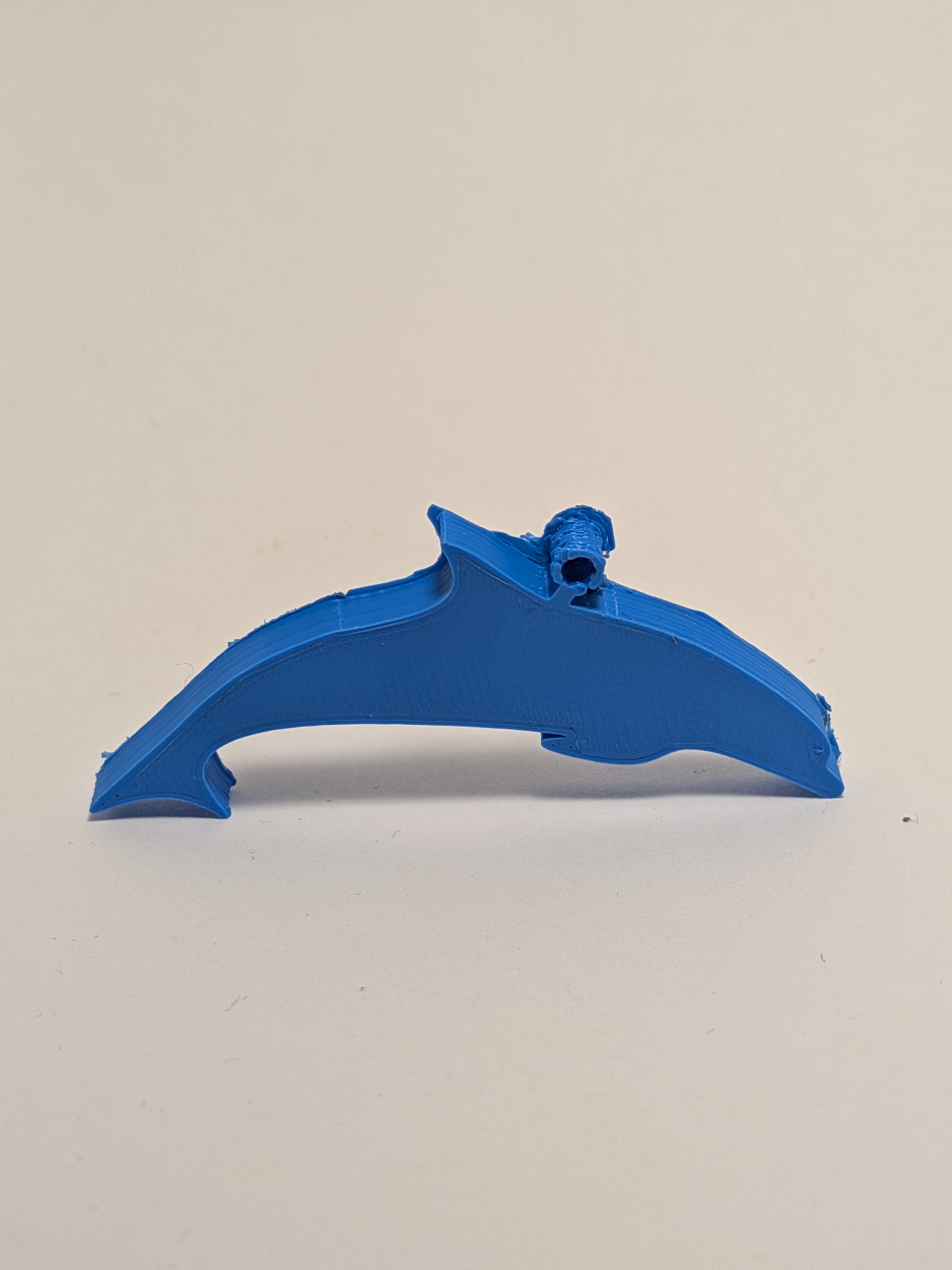 Dolphin KeyChain