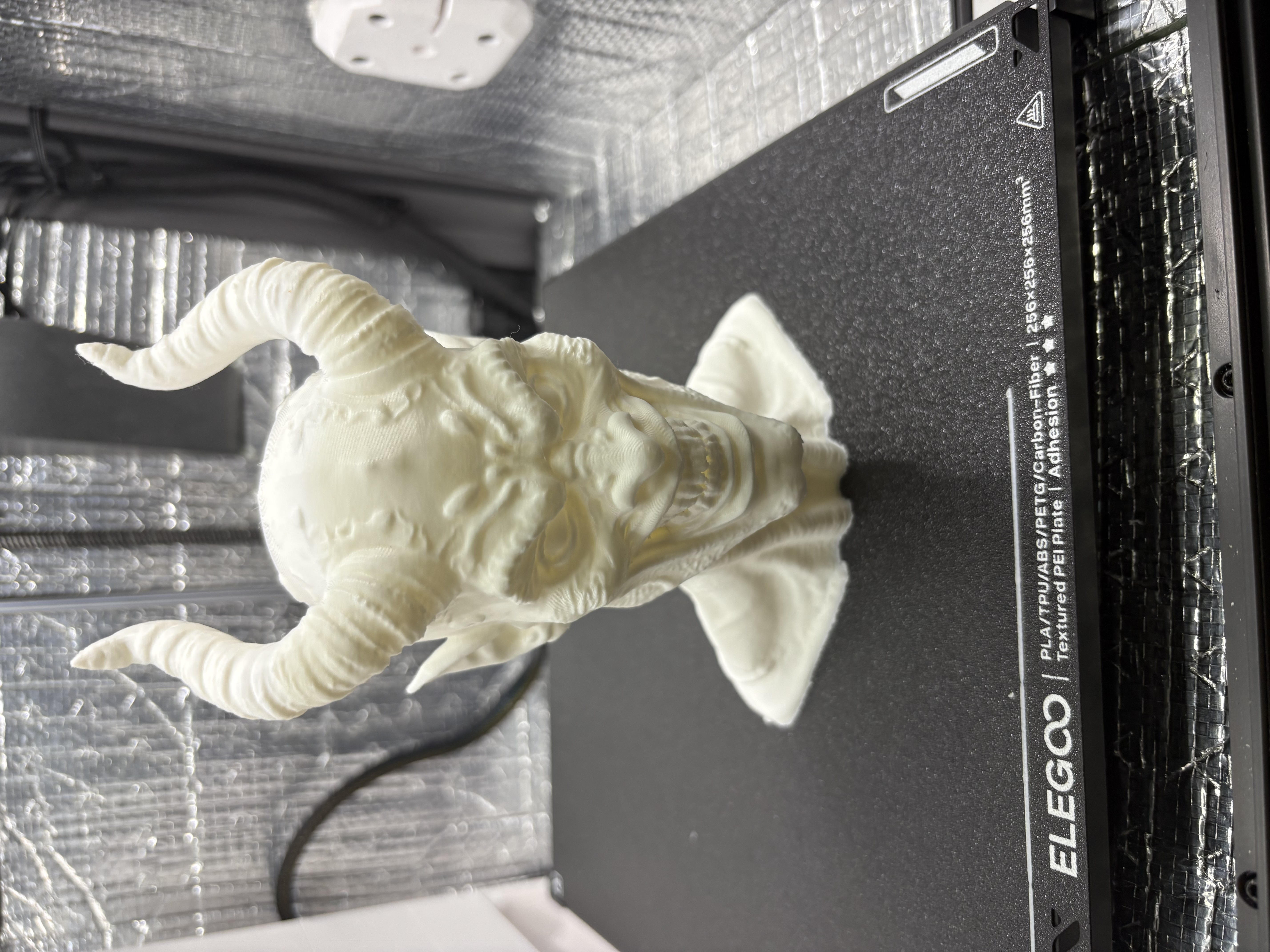Miniatura 2 do modelo 3D demon bust