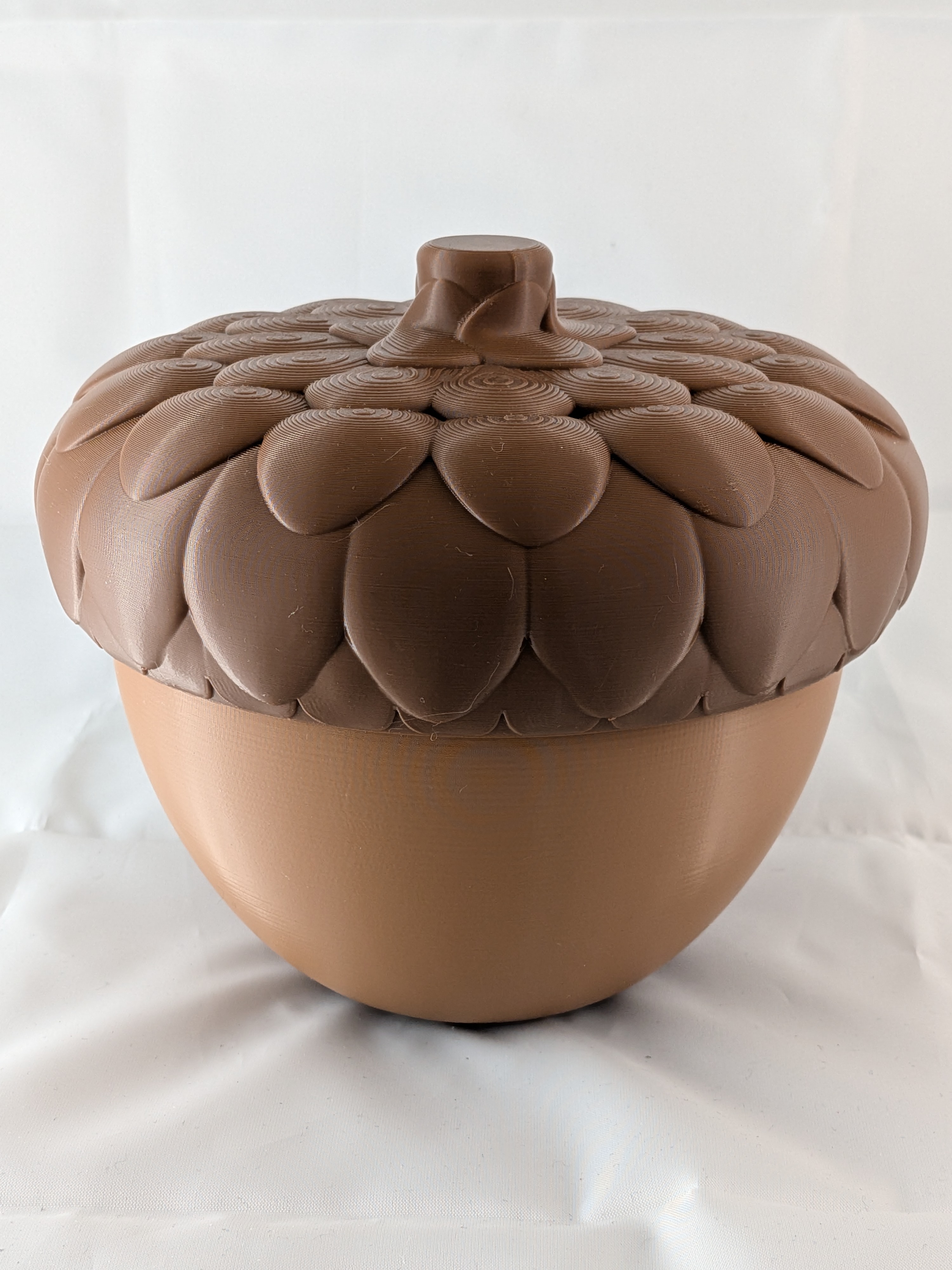 Acorn Storage Container