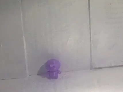 lil dude