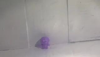 lil dude