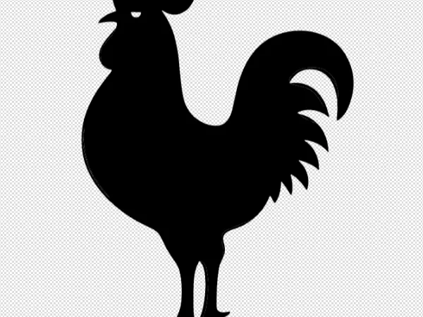Cock decoration 2d v.1
