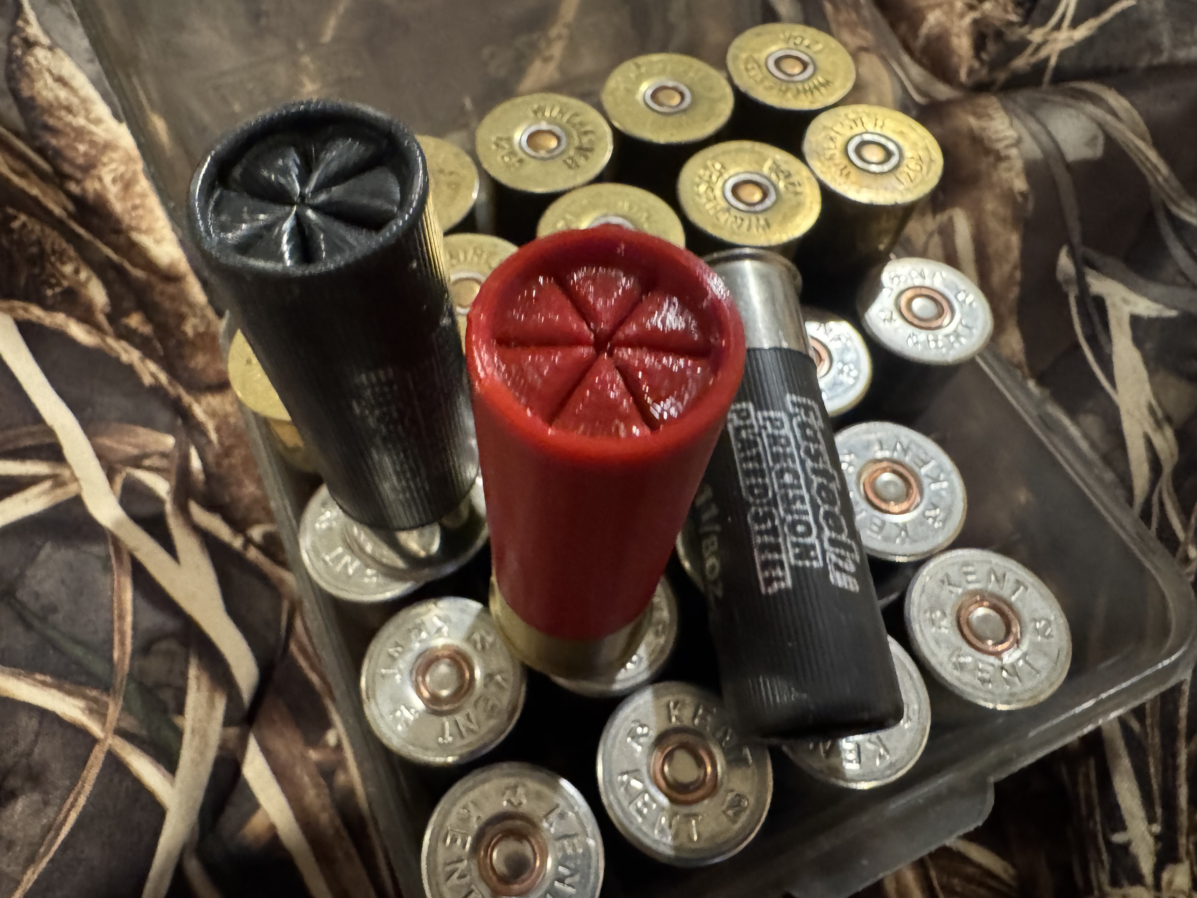 12 Gauge Shotshells — miniatura 2