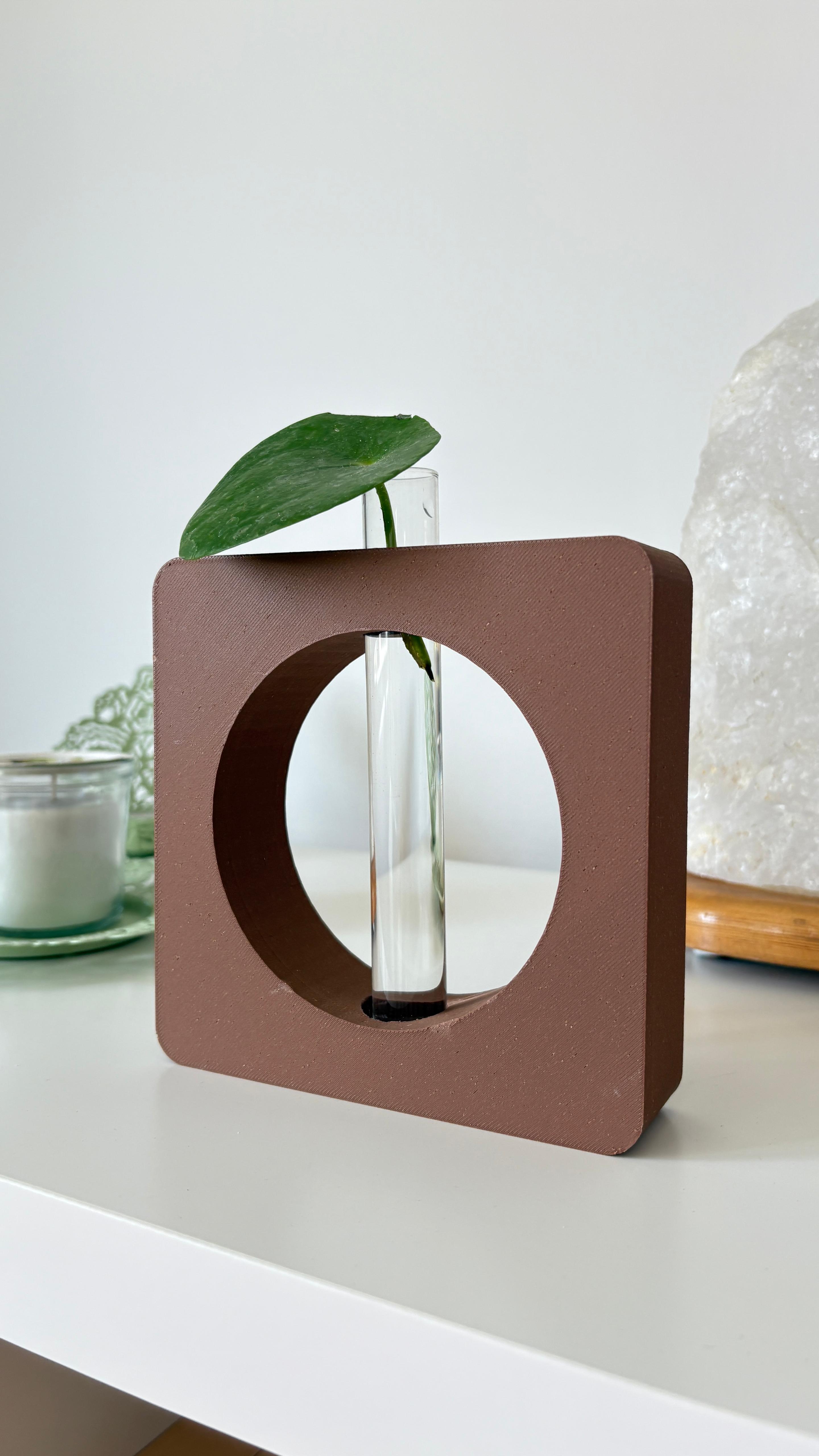 Modern Minimalist Propagating Stand