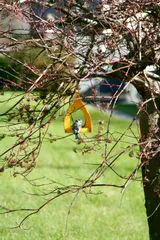 Bird feeder