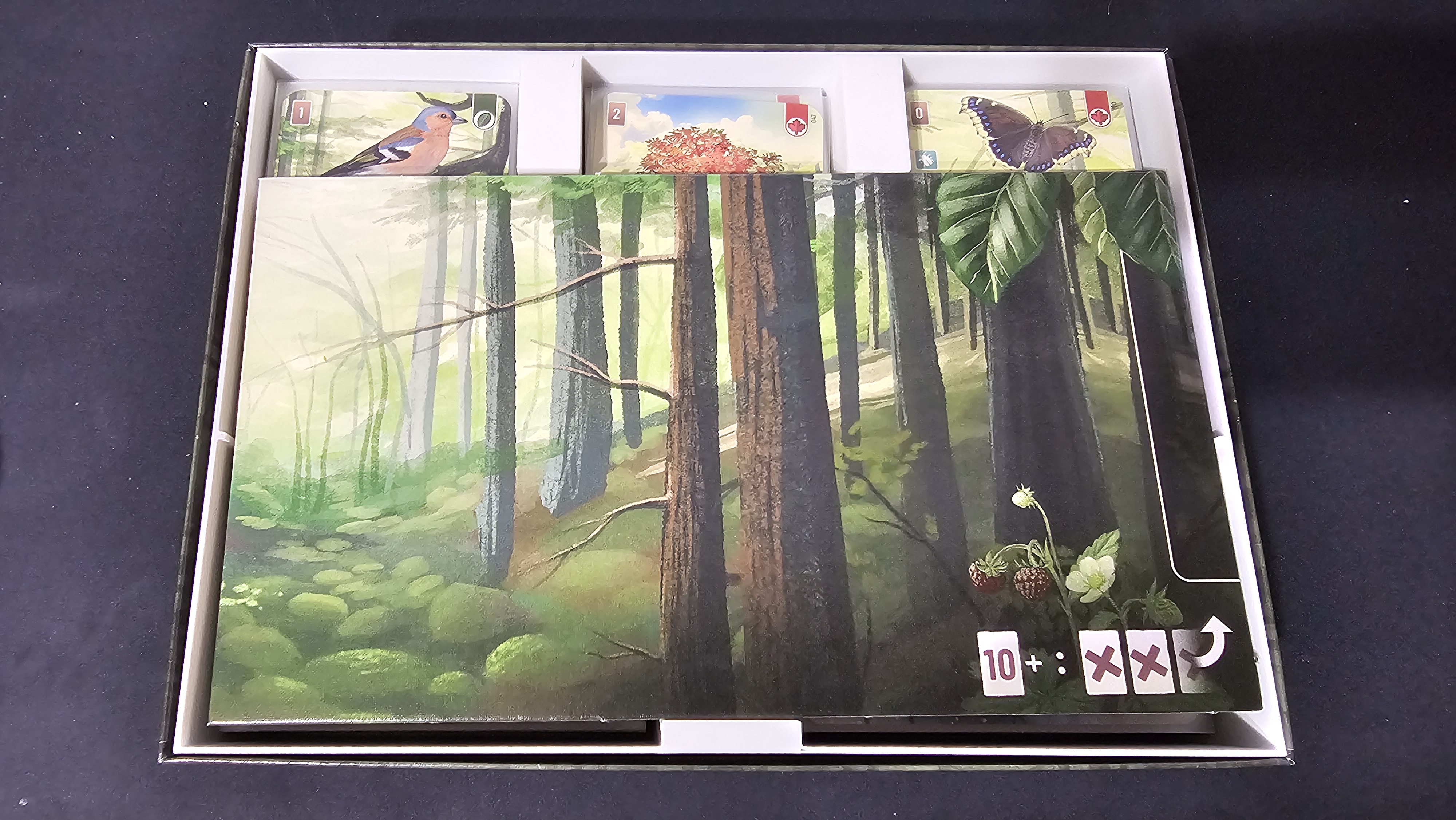Miniatura 2 do modelo 3D Forest Shuffle Insert
